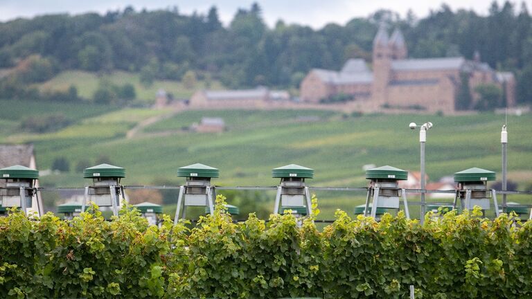 Mit dieser Anlage untersucht die Hochschule Geisenheim in einem Weinberg im Rheingau die Auswirkungen erhöhter CO2-Konzentrationen auf Reben.