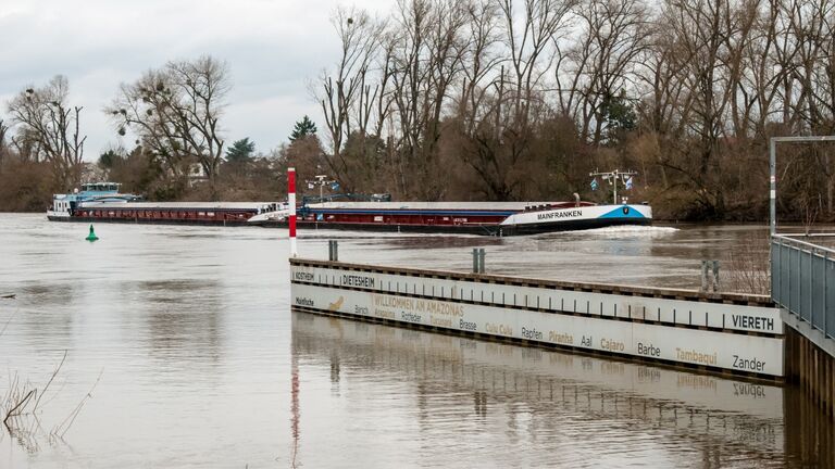Die Klimaroute im Regionalpark Rhein-Main stellt entlang des Mains in acht Stationen das Thema „Flussklima“ vor. In Dietesheim geht es in einem umgestalteten Nachenhafen um die „Flussfische“. 