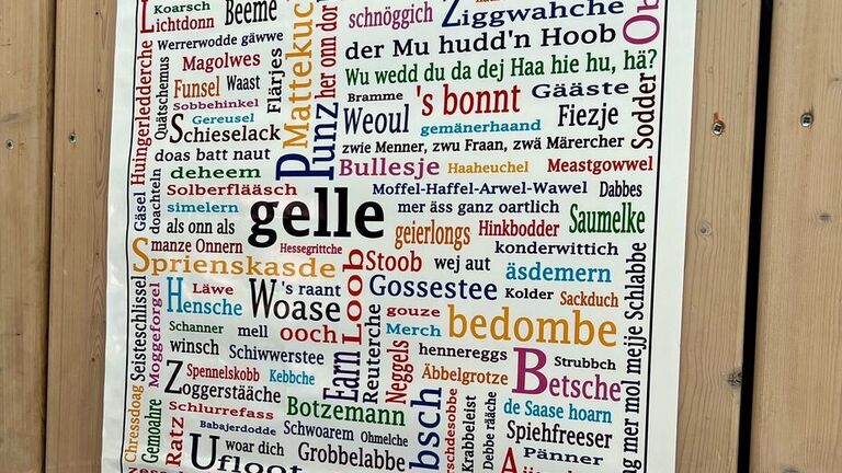 Der 21. Februar ist der Internationale Tag der Muttersprache. In Hessen werden traditionell rheinfränkische Mundarten des Westmitteldeutschen gesprochen. Nur der äußerste Osten Hessens gehört zum ostmitteldeutsch-thüringischen, der äußerste Norden und Nordwesten zum niederdeutschen Dialektraum.
