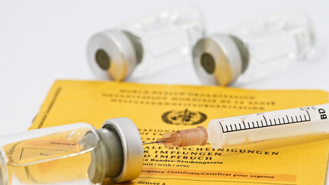 Spritze mit Impfstoff auf Impfpass Spritze mit Impfstoff auf Impfpass