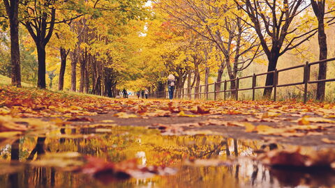 Familie im Herbst Familie im Herbst