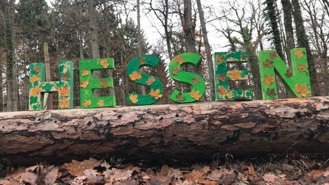 Hessen-Buchstaben der Waldkita Biebertal Hessen-Buchstaben der Waldkita Biebertal