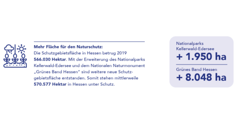 Grafik Fläche für den Natrschutz Grafik: Mehr Fläche für den Naturschutz. Der Nationalpark Kellerwald-Edersee und das "Grüne Band Hessen" wurden um 1.950 ha bzw. 8.048 ha Fläche erweiter.