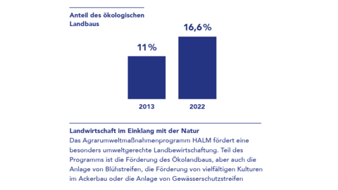 Grafik Anteil des ökologischen Landbaus Grafik: Der Anteil des ökologischen Landbaus ist von 11 Prozent 2013 auf 16,6 Prozent 2022 angestiegen.