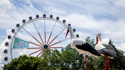 Impression vom Hessentag in Fritzlar Impression vom Hessentag in Fritzlar
