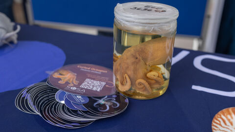 Science Festival Frankfurt